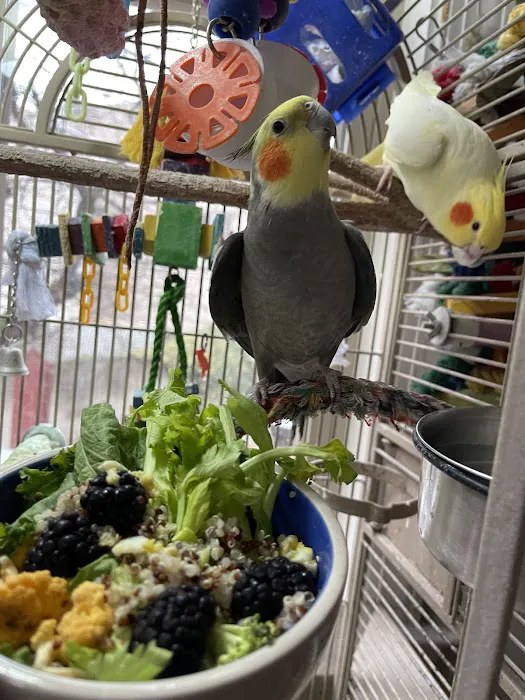 Avian & Exotic Philly Vet Medical Surgical Clinic 8