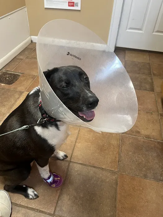 Haddon Vet, LLC 12