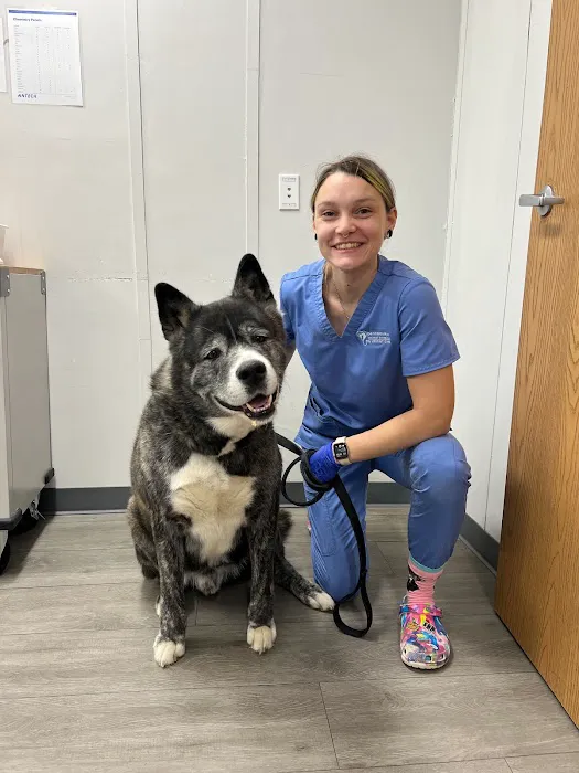 Pennsauken Animal Hospital 1