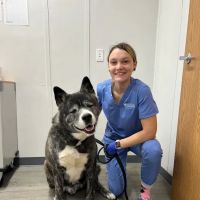 Pennsauken Animal Hospital ico