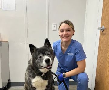 Pennsauken Animal Hospital