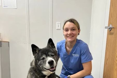 Pennsauken Animal Hospital