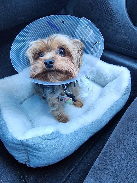 Pennsauken Animal Hospital 5