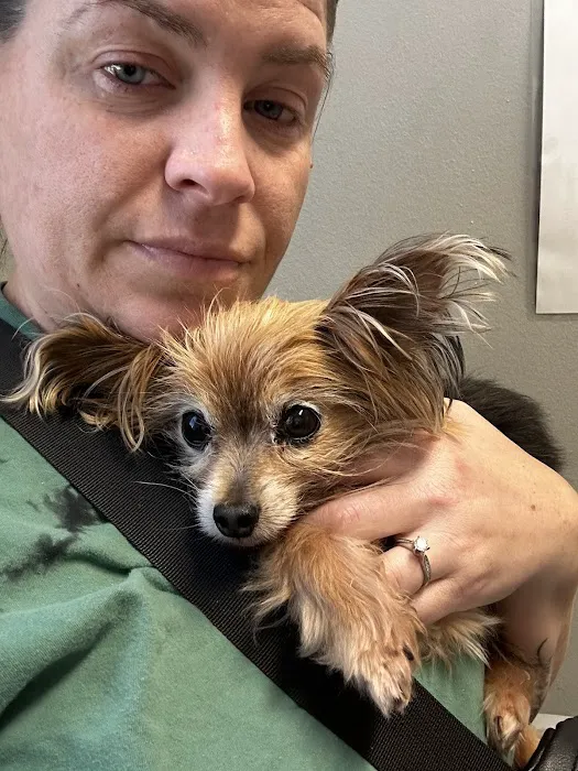 Pennsauken Animal Hospital 4