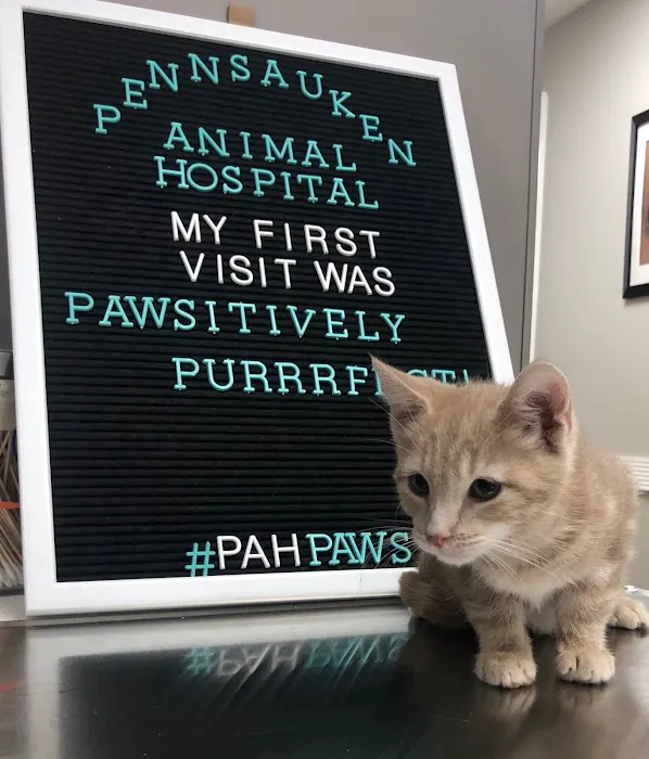 Pennsauken Animal Hospital 7