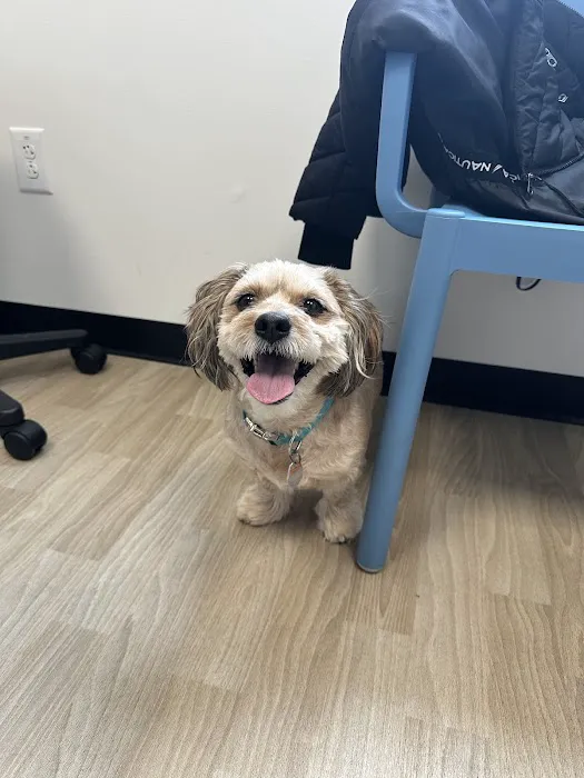 Pennsauken Animal Hospital 9