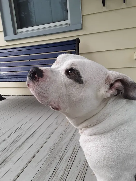 Pennsauken Animal Hospital 8
