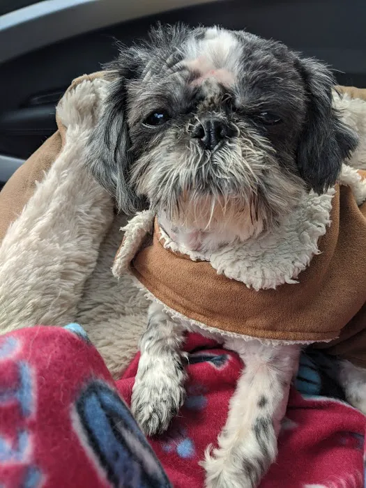 Pennsauken Animal Hospital 10