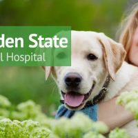 VCA Garden State Animal Hospital ico