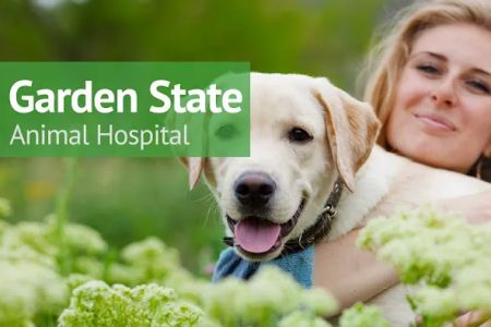 VCA Garden State Animal Hospital