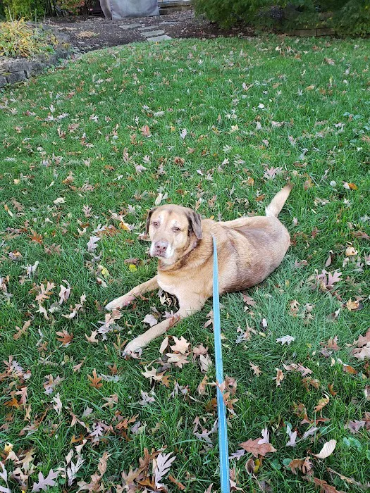 VCA Garden State Animal Hospital 12