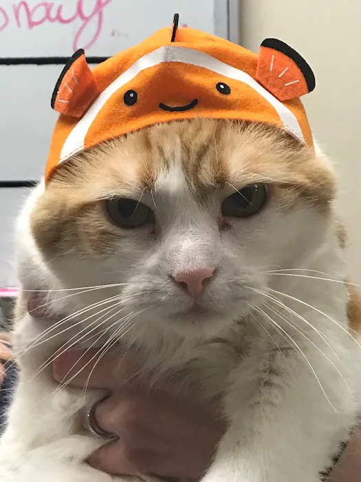 VCA Garden State Animal Hospital 12