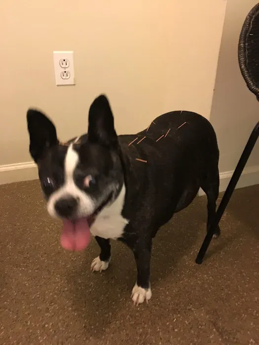 WAG: Whole Animal Gym 6