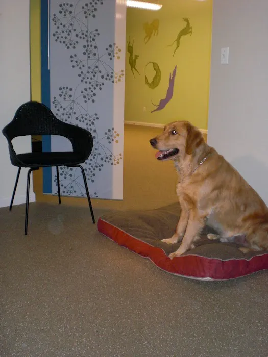WAG: Whole Animal Gym 7
