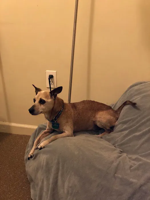 WAG: Whole Animal Gym 4