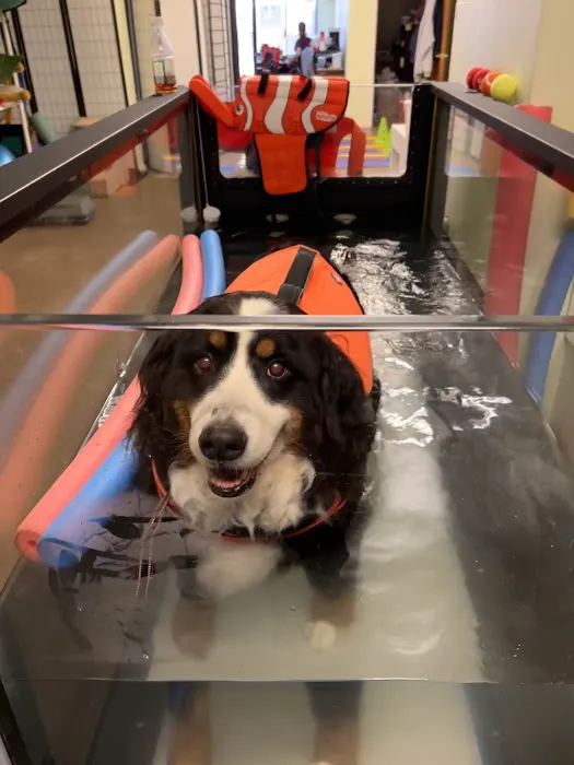 WAG: Whole Animal Gym 5
