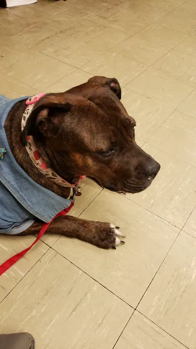 Broad Street Animal Hospital 2