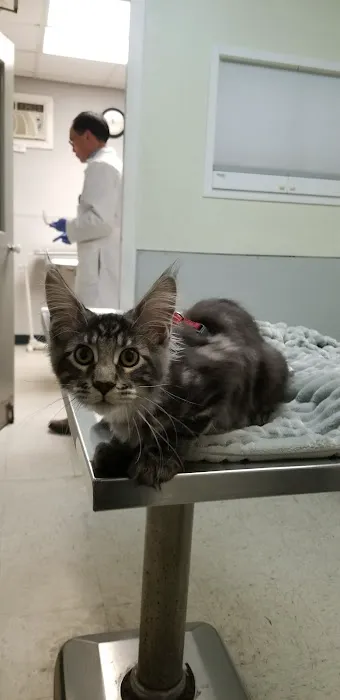 Broad Street Animal Hospital 3