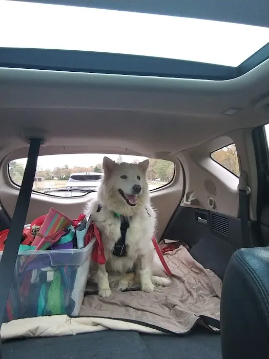 Mt Laurel Animal Hospital: Merrifield Rebecca DVM 12