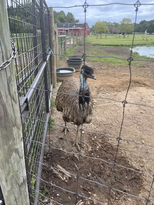 Mt Laurel Animal Hospital: Merrifield Rebecca DVM 12