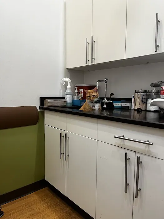 The Animedic Veterinary Hospital 1