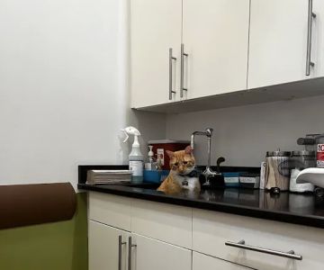 The Animedic Veterinary Hospital