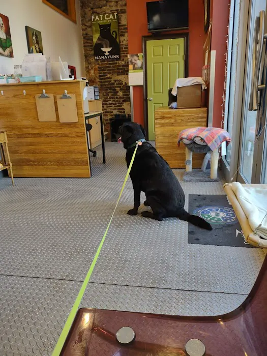 The Animedic Veterinary Hospital 8
