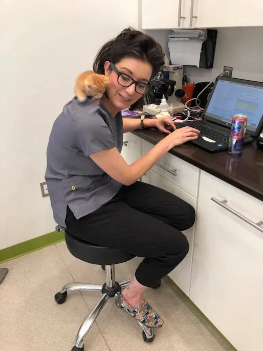 The Animedic Veterinary Hospital 10