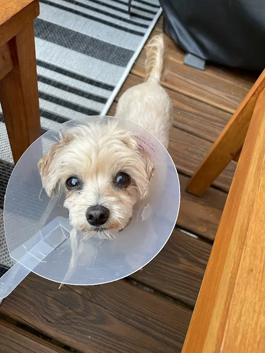 Wissahickon Creek Veterinary Hospital 8