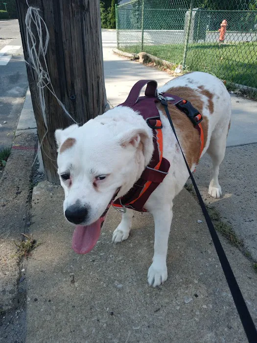 Wissahickon Creek Veterinary Hospital 6
