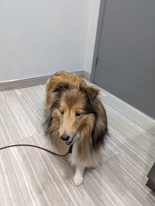 Wissahickon Creek Veterinary Hospital 7