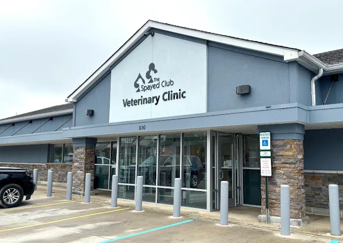The Spayed Club Veterinary Clinic 1