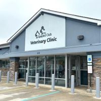 The Spayed Club Veterinary Clinic ico