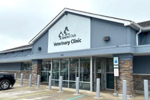 The Spayed Club Veterinary Clinic