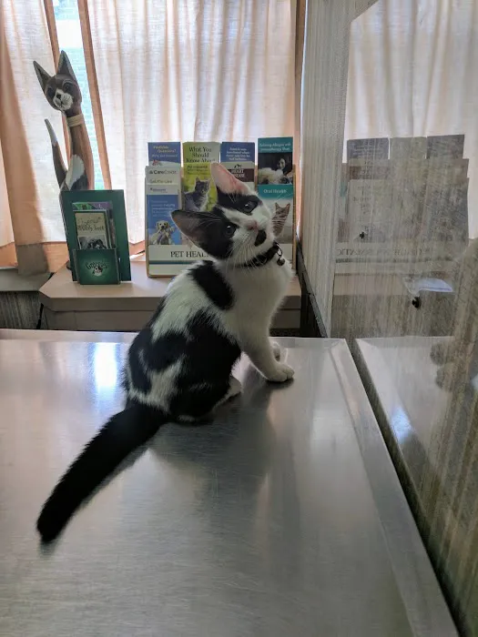 Highland Park Animal Hospital 1