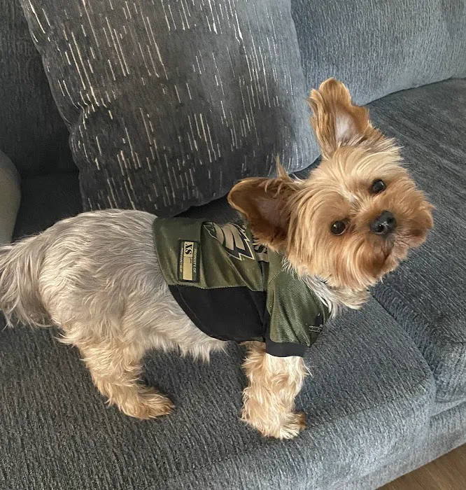 Pet Check Urgent Care 4
