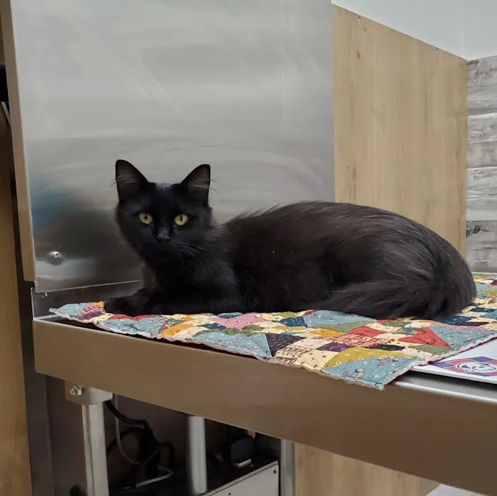 Pet Check Urgent Care 7