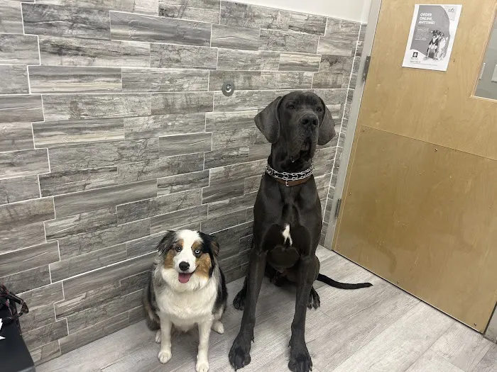 Pet Check Urgent Care 6
