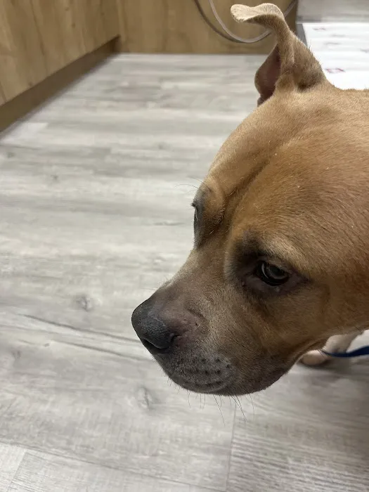 Pet Check Urgent Care 1