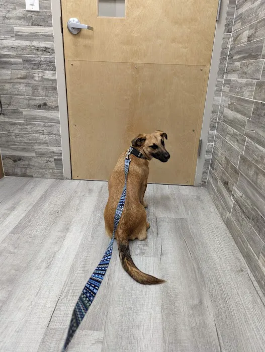 Pet Check Urgent Care 5
