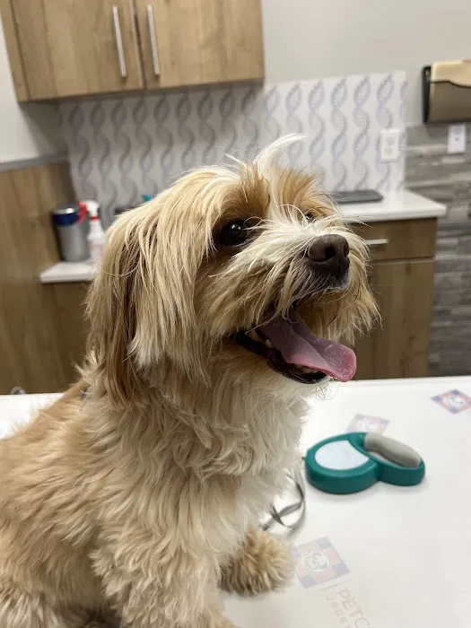 Pet Check Urgent Care 8