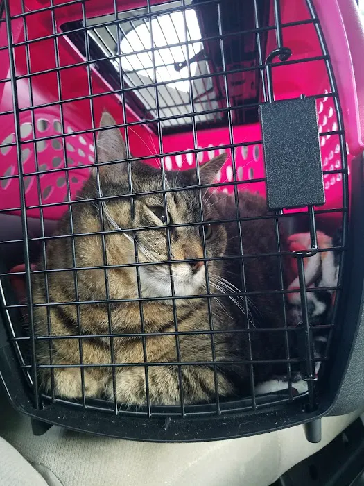 Chews Landing Veterinary Hospital 5