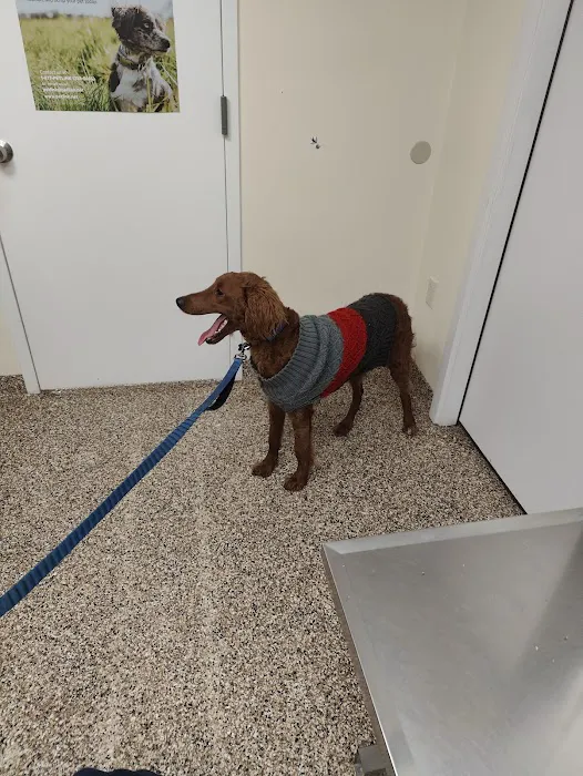 Bywood Animal Hospital 6