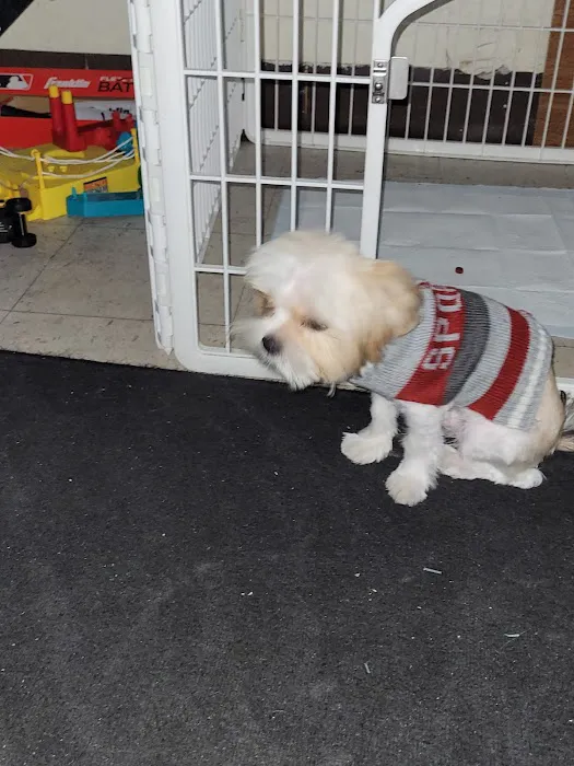 Bywood Animal Hospital 5
