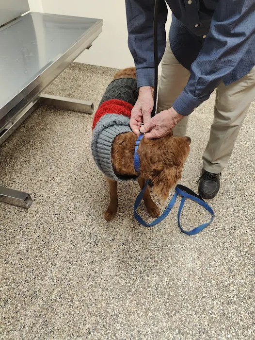Bywood Animal Hospital 8