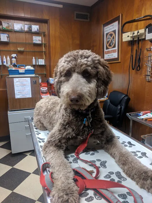 Ivens-Bronstein Veterinary Hospital 3
