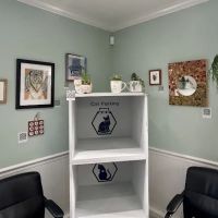 Havertown Animal Hospital ico