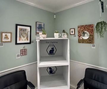 Havertown Animal Hospital