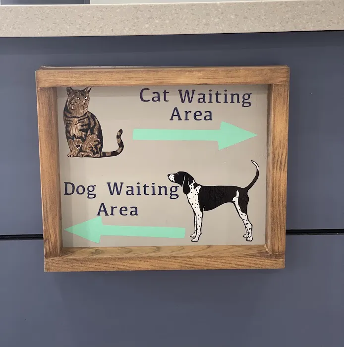 Havertown Animal Hospital 6