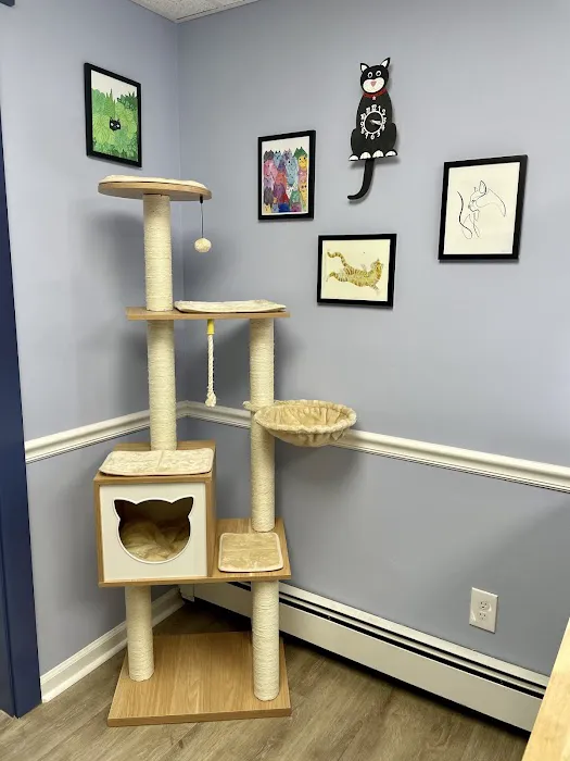 Havertown Animal Hospital 10